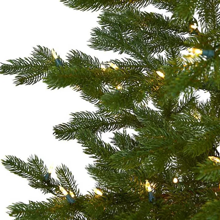 7.5 ft. Clear Lit Fairbanks Fir Christmas Tree