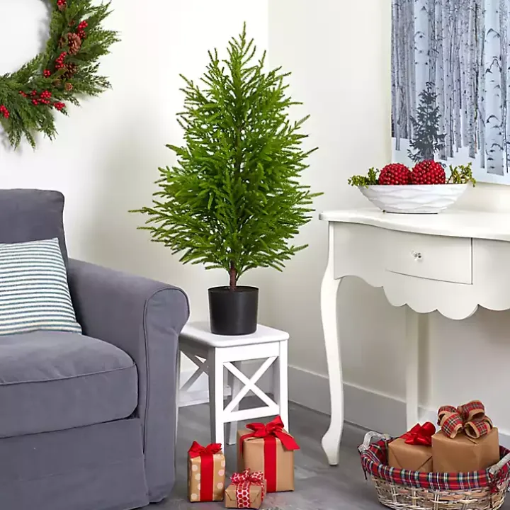 3 ft. Norfolk Island Pine Potted Christmas Tree