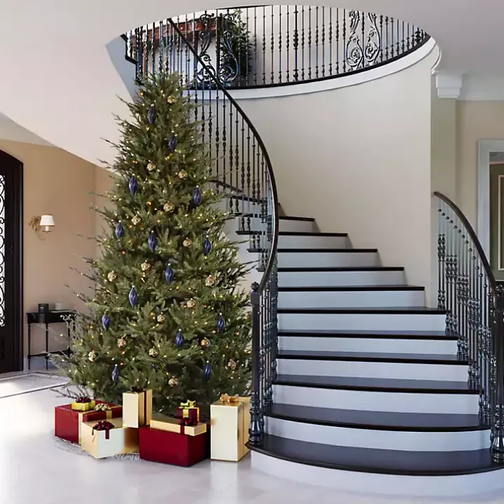 5.5 ft. Pre-Lit Itasca Fraser Christmas Tree
