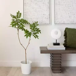 3.5 ft. Sumac Tree in Nursery Planter