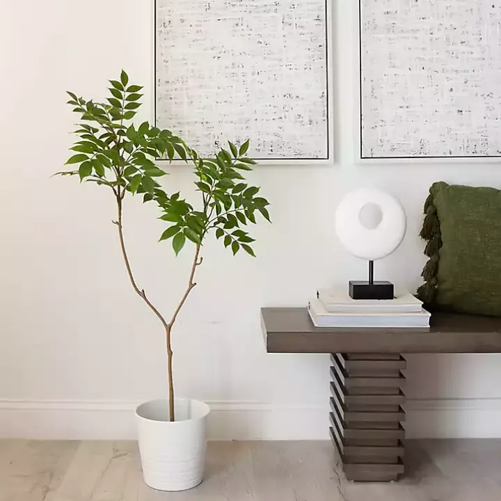 3.5 ft. Sumac Tree in Nursery Planter