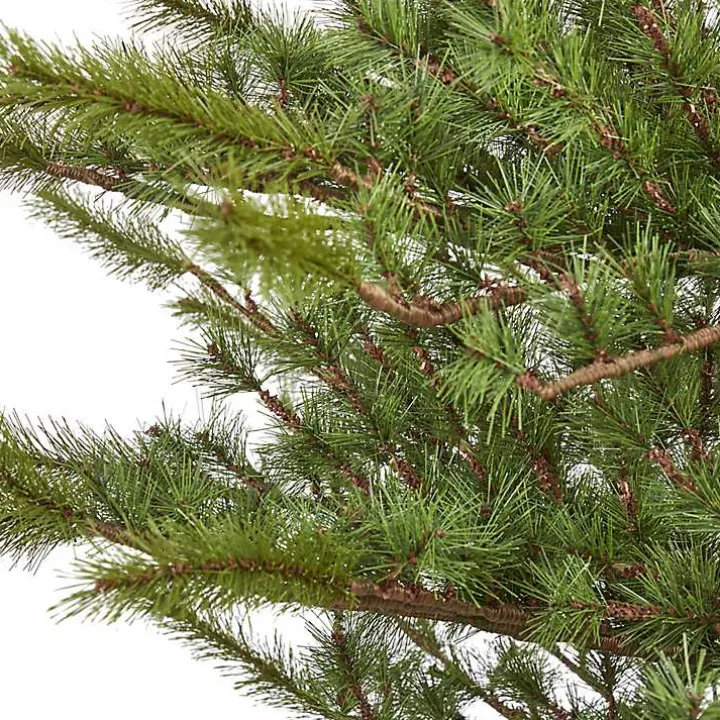 7 ft. Vancouver Mountain Pine Christmas Tree