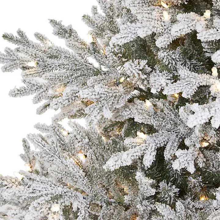 8 ft. Warm Lit Flocked Fraser Fir Christmas Tree