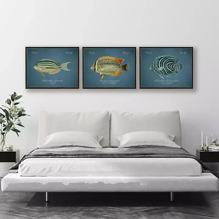 Angelfish Framed Wall Art