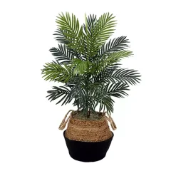 Areca Palm Tree in Woven Basket DIY Kit, 3 ft.