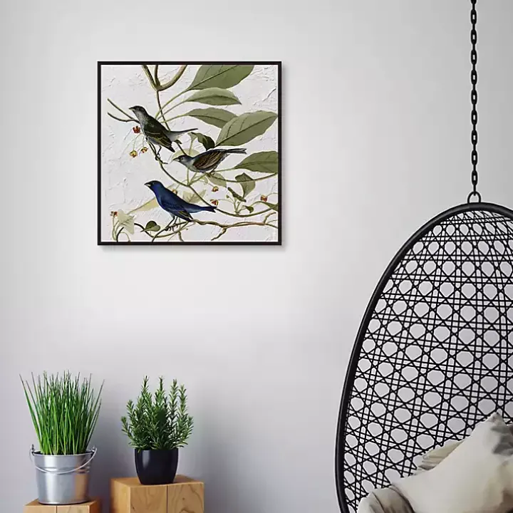 Audubon Indigo Bird Framed Canvas Art Print