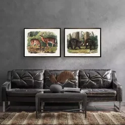 Audubon Woodland Deer Framed Art Print