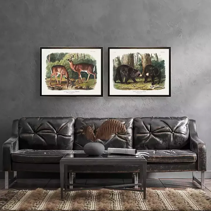 Audubon Woodland Deer Framed Art Print