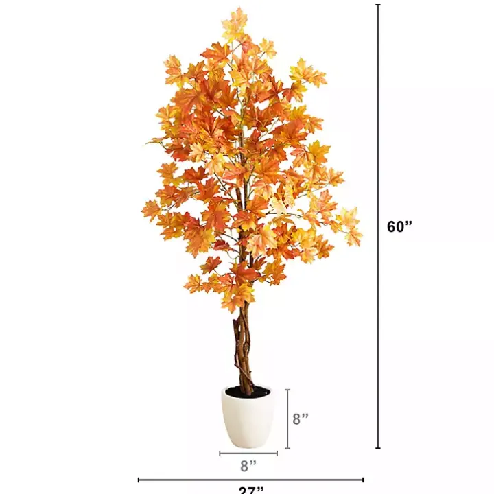 Autumn Maple Double Trunk Tree, 5 ft.