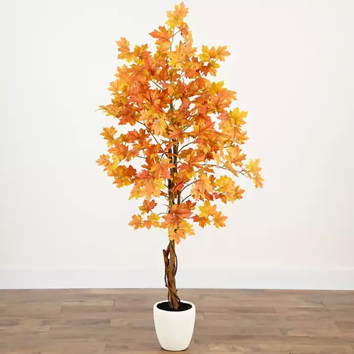 Autumn Maple Double Trunk Tree, 5 ft.