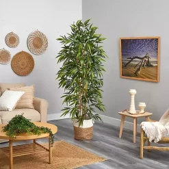 Bamboo Tree in Woven Basket, 6 ft.