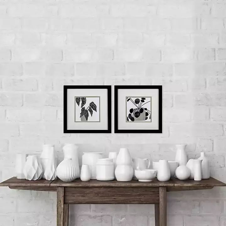 Black Plantling II Framed Art Prints, Set of 2