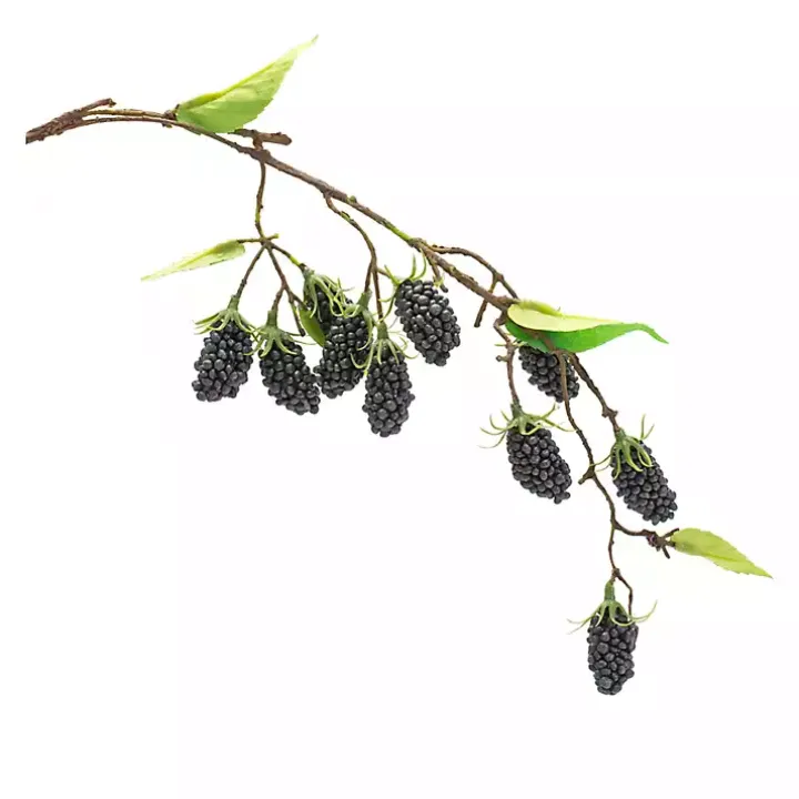 Blackberry Vine Sprays, Set of 6