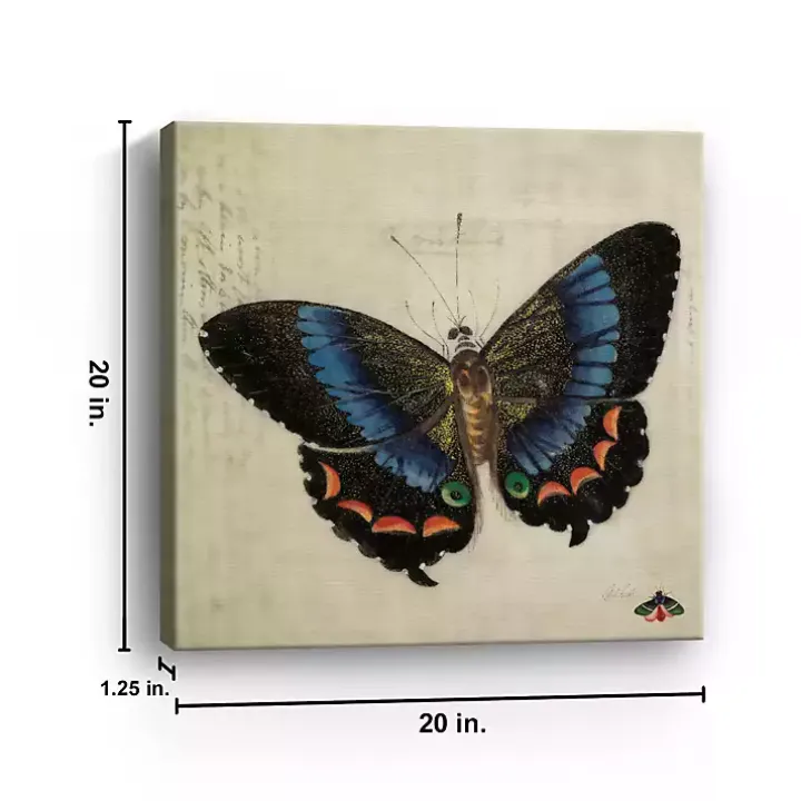 Blue Vintage Butterfly Canvas Art Print