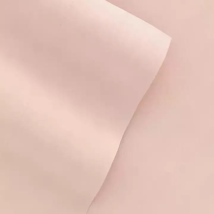 Blush Ultra Soft 4-pc. Twin XL Sheet Set
