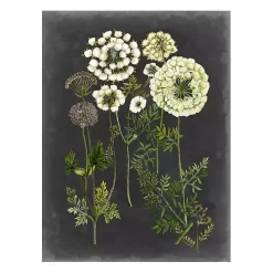 Bookplate Floral II Giclee Canvas Art Print