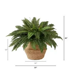 Boston Fern Arrangement in Brown Basket DIY Kit