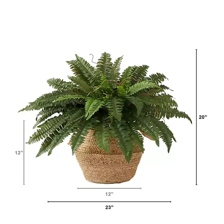 Boston Fern Arrangement in Brown Basket DIY Kit