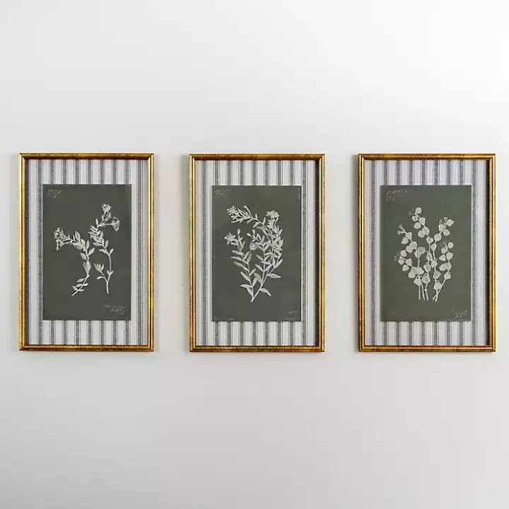 Botanical Stripes III Framed Art Print