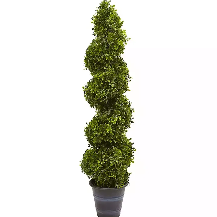 Boxwood Spiral Topiary, 48 in.