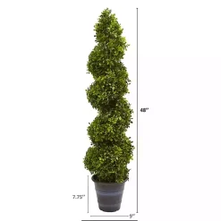 Boxwood Spiral Topiary, 48 in.