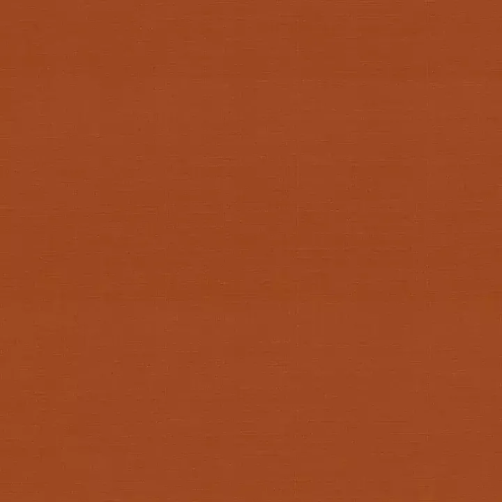 Burnt Orange Outdoor Chaise Cushion
