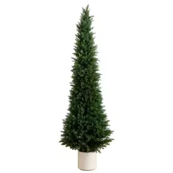 Cedar Tree in White Pot, 6 ft.