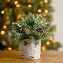 Christmas Pine Arrangement in Birch Vase