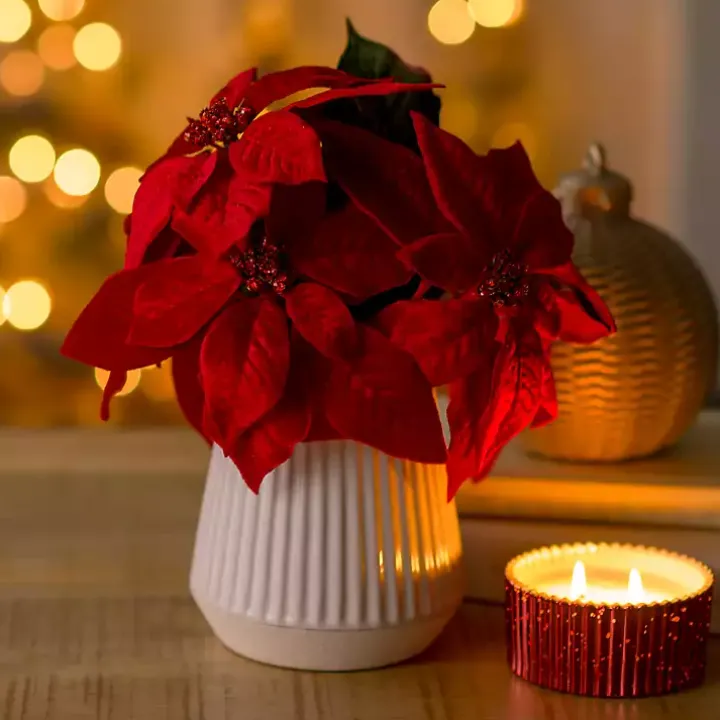 Christmas Poinsettia Arrangement