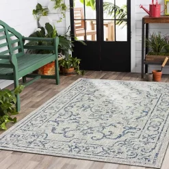 Classicism Sun Shower Outdoor Area Rug, 5x8