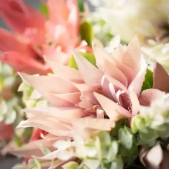 Colorful Lotus Flower Bundles, Set of 3