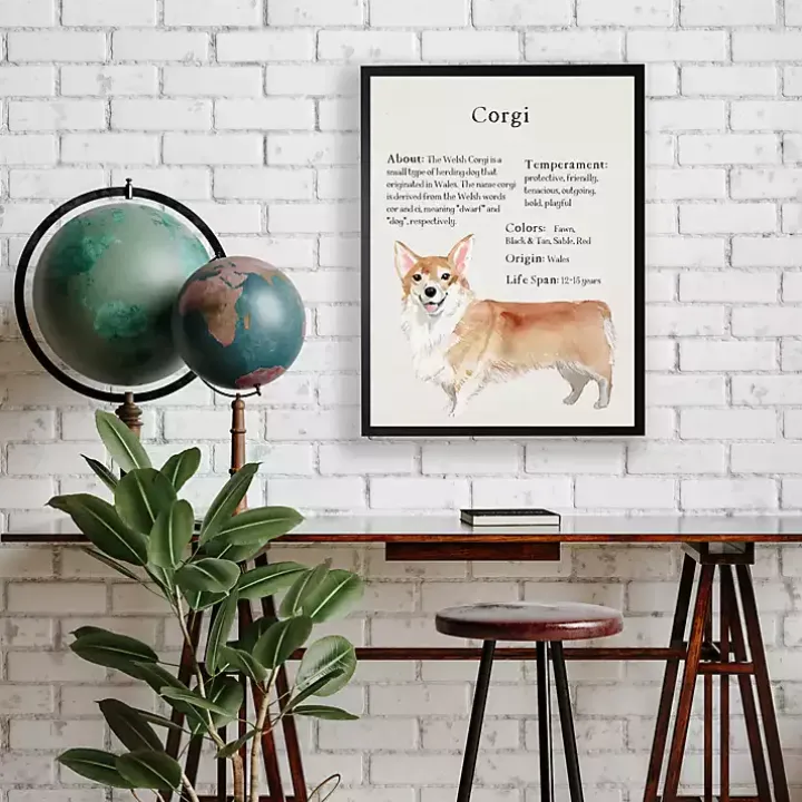 Corgi Facts Framed Wall Plaque