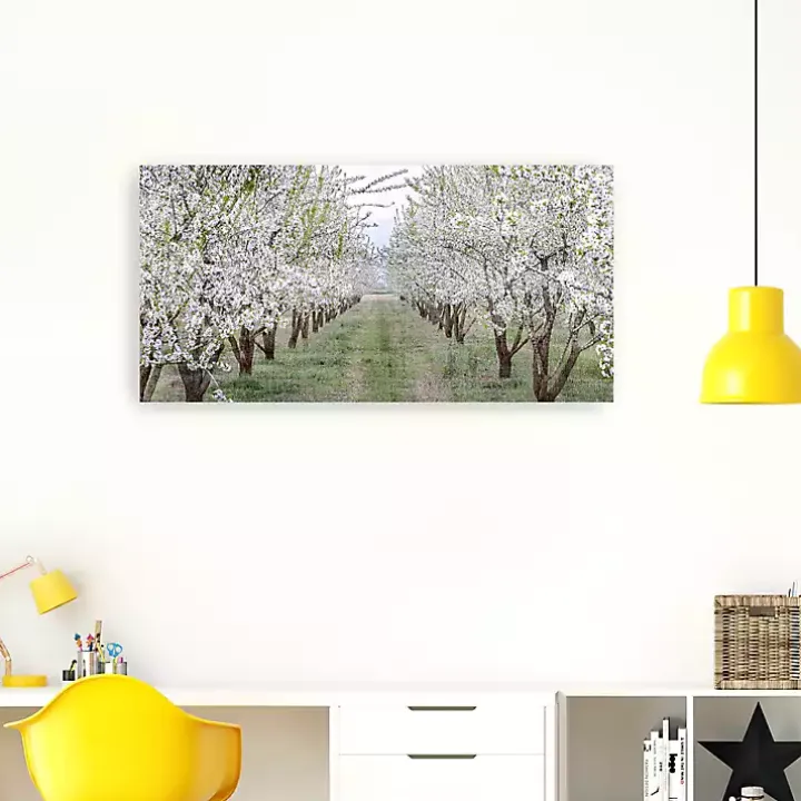 Countryside Path Canvas Art Print
