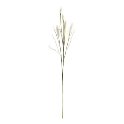 Cream Foxtail Sprays, Set of 6