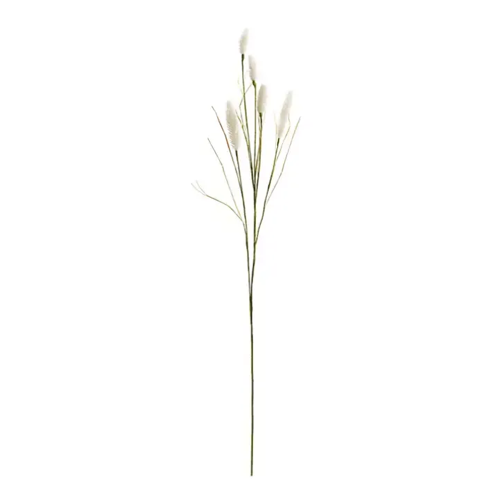 Cream Foxtail Sprays, Set of 6