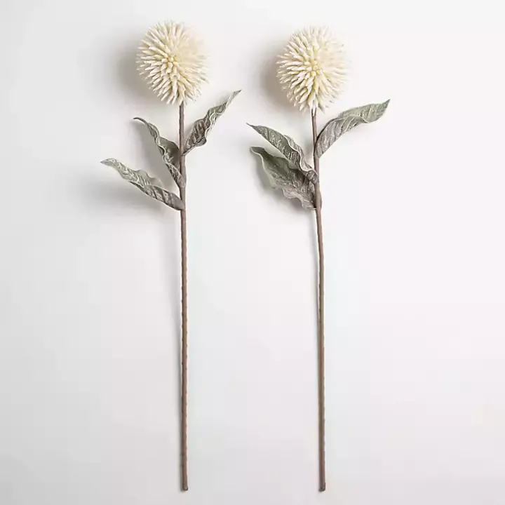 Cream Ombre Thistle Flower Stem