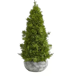 Cypress Cone Tree with Planter