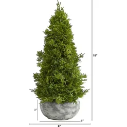 Cypress Cone Tree with Planter