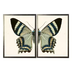 Diptych Butterfly Framed Art Print, Set of 2