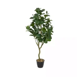 Douban Green in Ribbed Rock Planter
