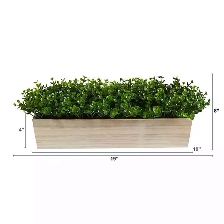 Eucalyptus Arrangement in Wide Wooden Planter