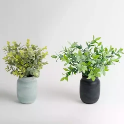 Eucalyptus Arrangements in Mason Jars, Set of 2