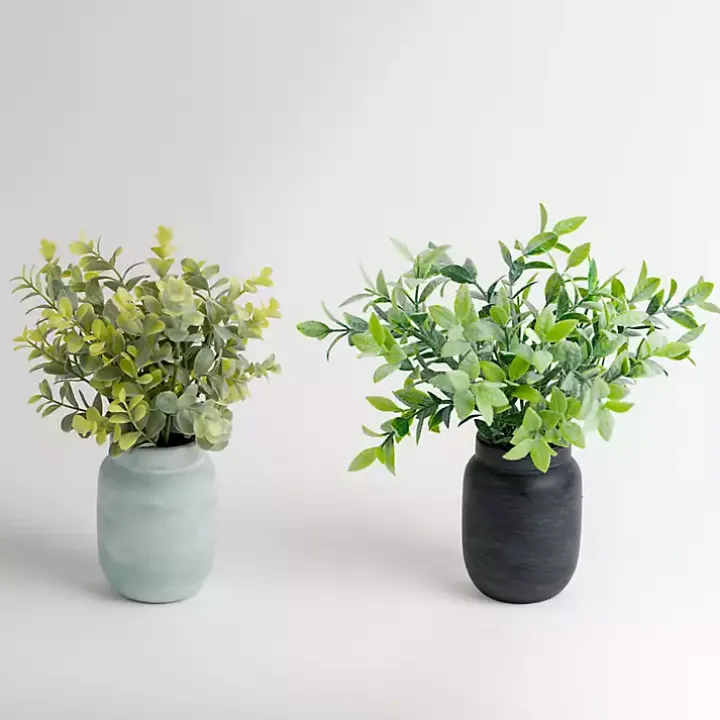 Eucalyptus Arrangements in Mason Jars, Set of 2