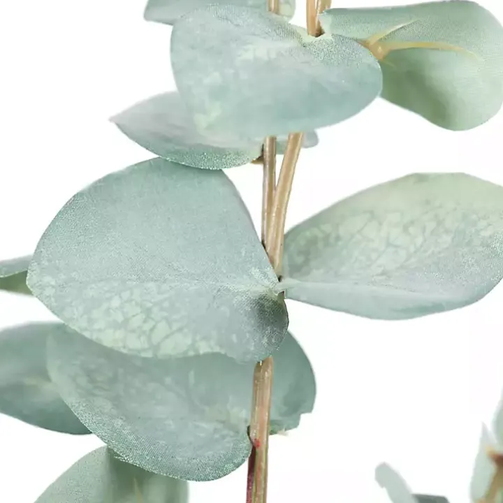 Eucalyptus Sprays, Set of 3