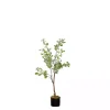Eucalyptus Tree in Black Pot, 4 ft.