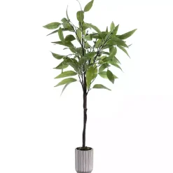 Eucalyptus Tree in Stripped Pot