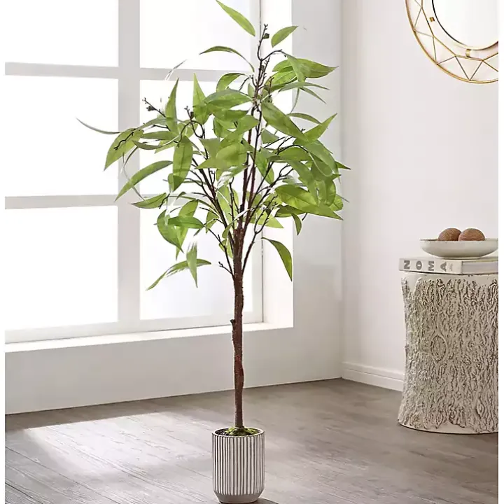 Eucalyptus Tree in Stripped Pot