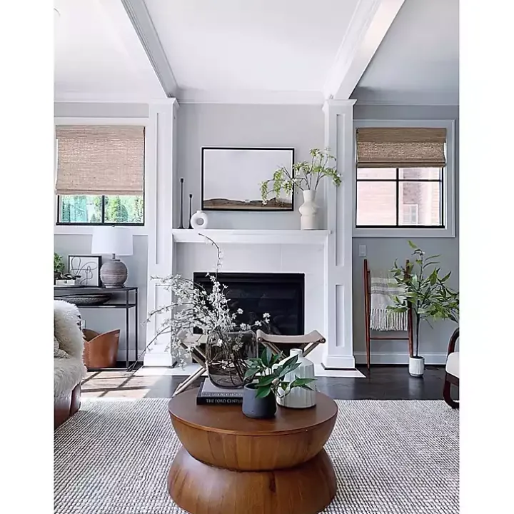 Eucalyptus Tree in Stripped Pot