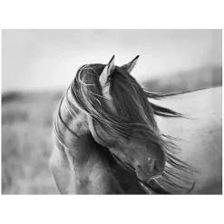 Fierce Grace Canvas Art Print