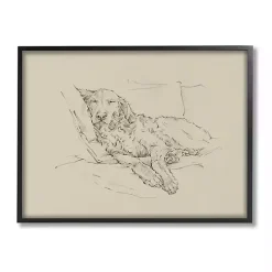 Fluffy Retriever Napping Dog Framed Canvas Print